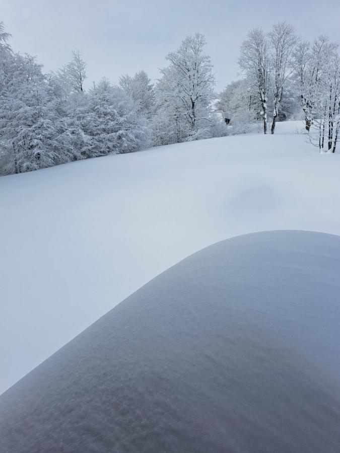 Vila Durmitor Nest Krstajic Žabljak Exterior foto